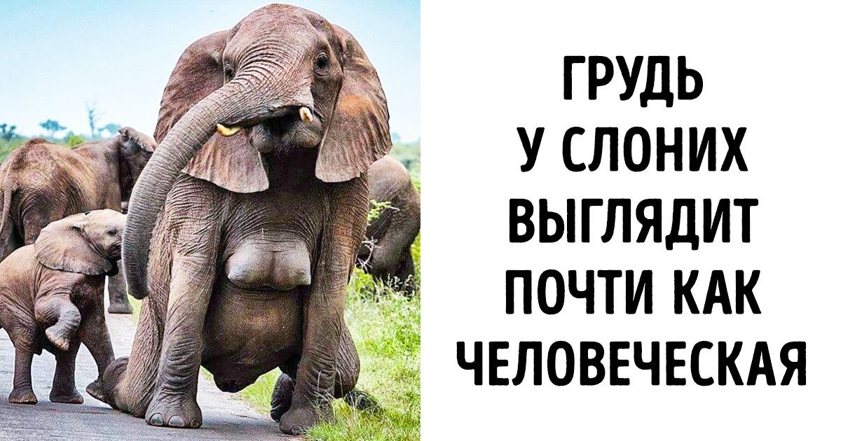 20+ простых истин, которые всю жизнь были под носом, но их никто не замечал 20+ простых истин, которые всю жизнь были под носом, но их никто не замечал