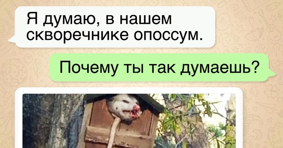 25 человек, у которых вся жизнь пронеслась перед глазами