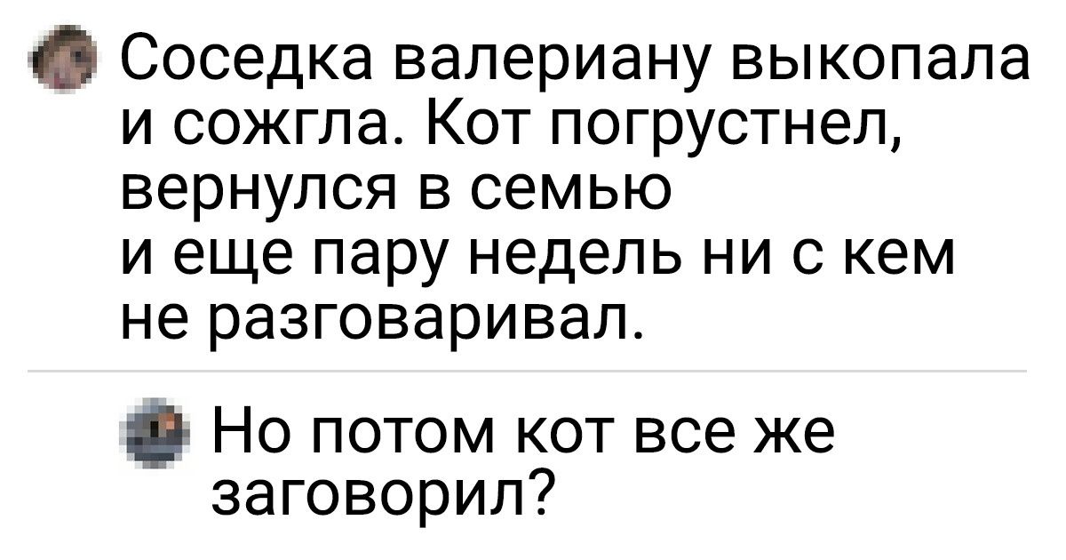 15+ человек, чьи комментарии набирают лайки быстрее, чем реактивный самолет — высоту 15+ человек, чьи комментарии набирают лайки быстрее, чем реактивный самолет — высоту