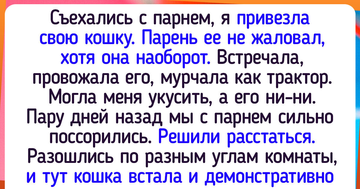 Мы нашли 20 котиков, которые уверены, что они не просто какая-то животинка, а вообще-то личность Мы нашли 20 котиков, которые уверены, что они не просто какая-то животинка, а вообще-то личность