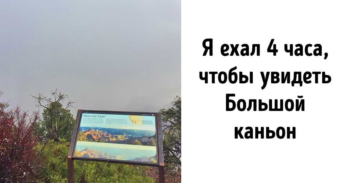 15 человек, которые никак не ожидали такой подставы 15 человек, которые никак не ожидали такой подставы