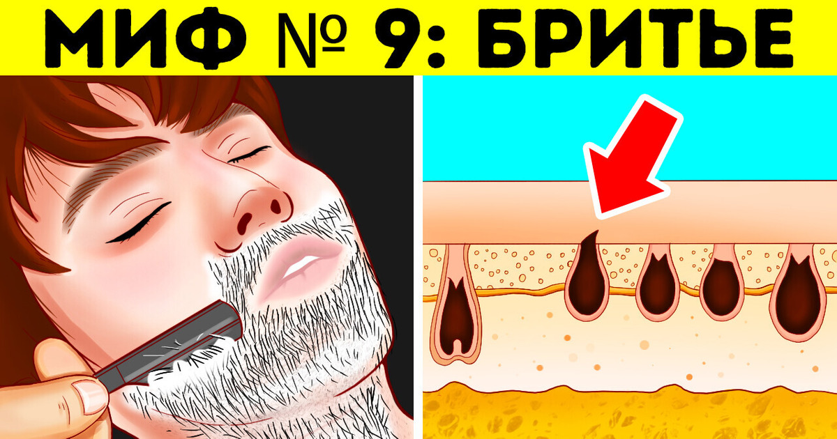 14 фактов, которые вы слышали в детстве и которые являются мифами