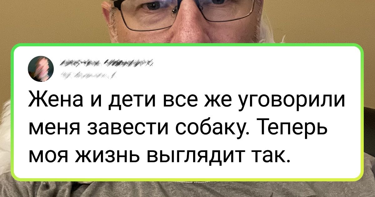 20+ мужчин, которые были резко против животных в доме, но уже сто раз пожалели о своих словах 20+ мужчин, которые были резко против животных в доме, но уже сто раз пожалели о своих словах