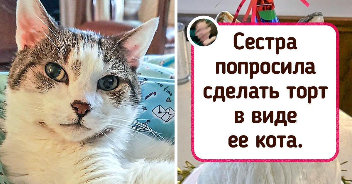 20 фото десертов, которые не оставят равнодушными даже тех, кто далек от кулинарии