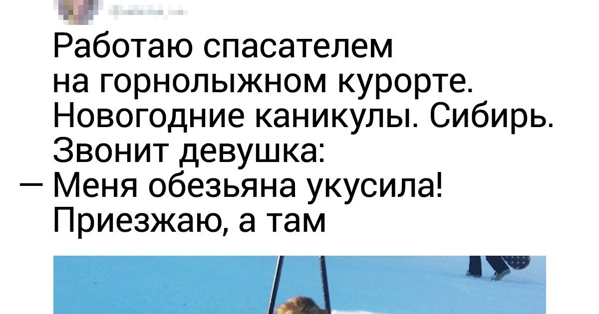 15 захватывающих историй от пользователей, для которых работа и приключения — синонимы 15 захватывающих историй от пользователей, для которых работа и приключения — синонимы