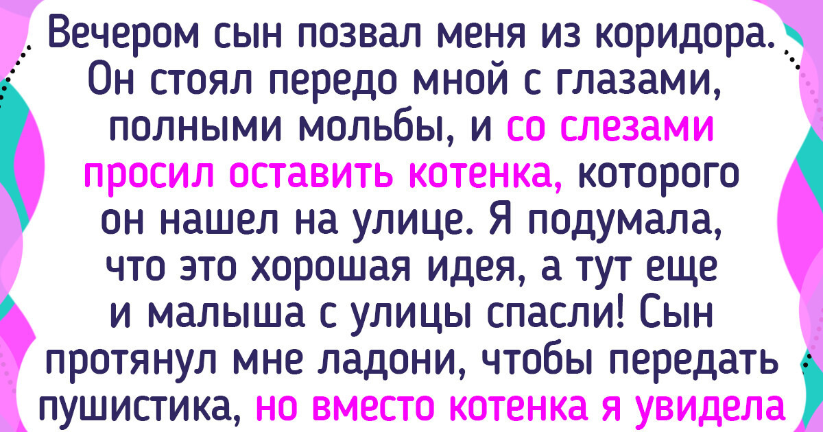 16 людей, которые решили завести себе домашнего питомца, а получили целую историю 16 людей, которые решили завести себе домашнего питомца, а получили целую историю