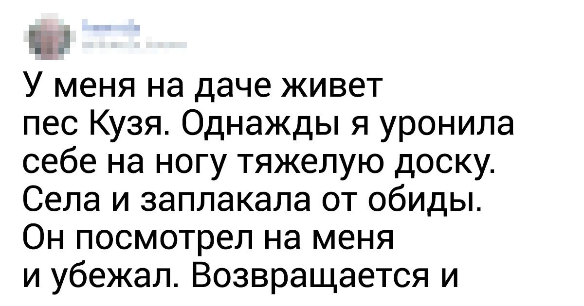 20+ человек рассказали о своих питомцах, которые ошеломили их смекалкой и интеллектом 20+ человек рассказали о своих питомцах, которые ошеломили их смекалкой и интеллектом