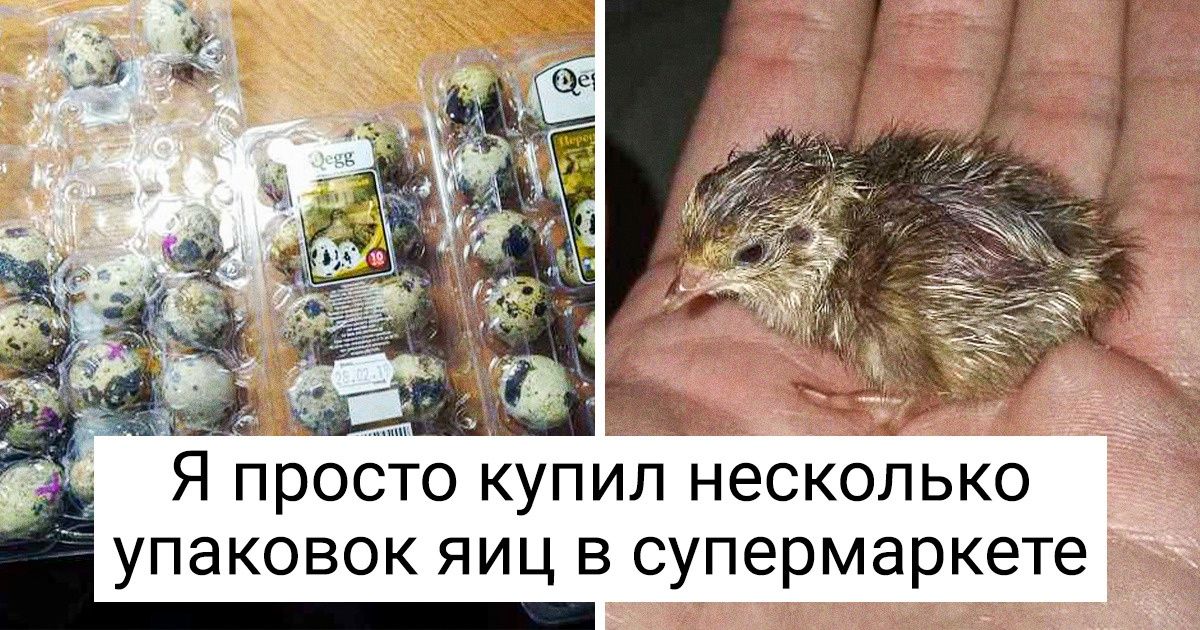 Мы узнали 14 фактов о магазинных продуктах и стали по-другому относиться к еде
