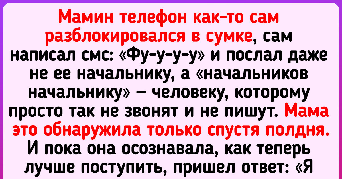 15 человек, у которых от стыда щеки разгорелись ярче гирлянд на новогодней елке 15 человек, у которых от стыда щеки разгорелись ярче гирлянд на новогодней елке
