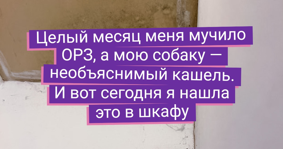 17 бедолаг, которые просто хотели снять квартиру и даже не представляли, чем это для них обернется 17 бедолаг, которые просто хотели снять квартиру и даже не представляли, чем это для них обернется