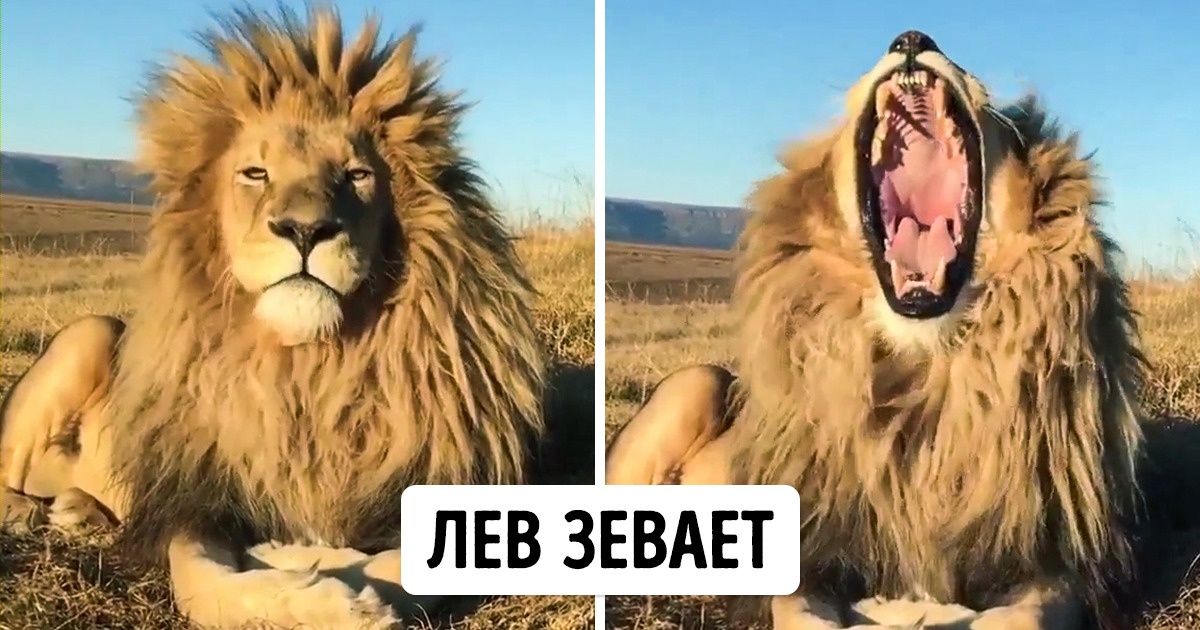 20+ фотографий обо всем на свете, которые для многих станут неожиданным открытием