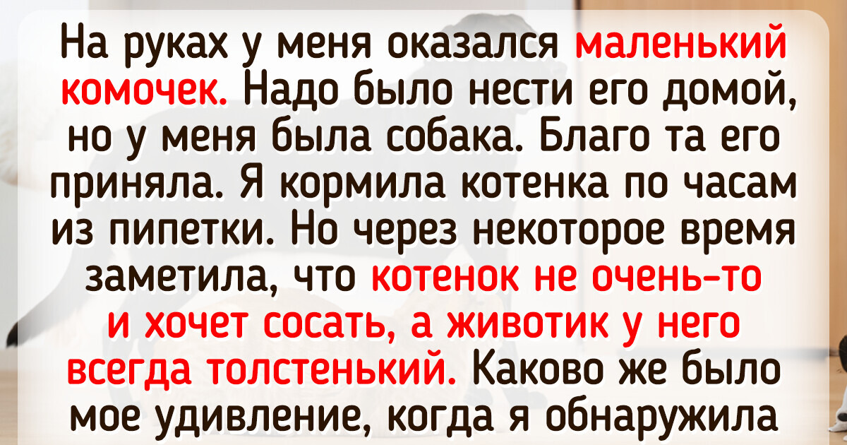17 историй о братьях наших меньших, которые порой нехило так нас удивляют