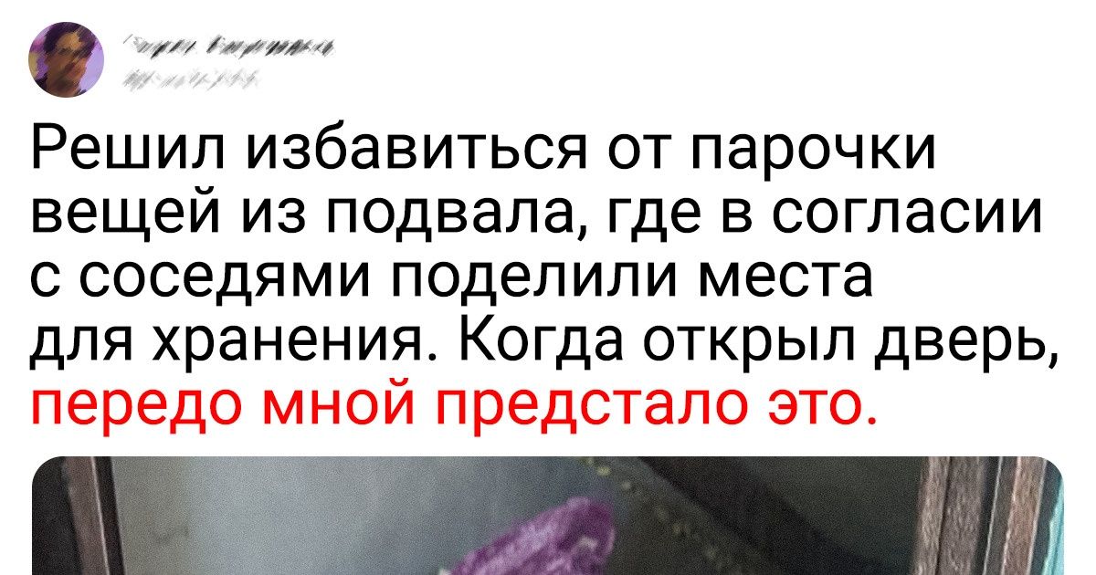 20 наглецов, которым точно не мешало бы пройти курс воспитания 20 наглецов, которым точно не мешало бы пройти курс воспитания
