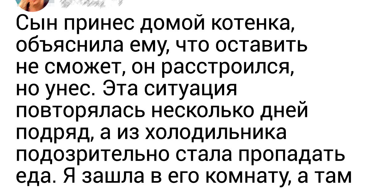 15+ историй о животных, после прочтения которых становится приятно на душе 15+ историй о животных, после прочтения которых становится приятно на душе