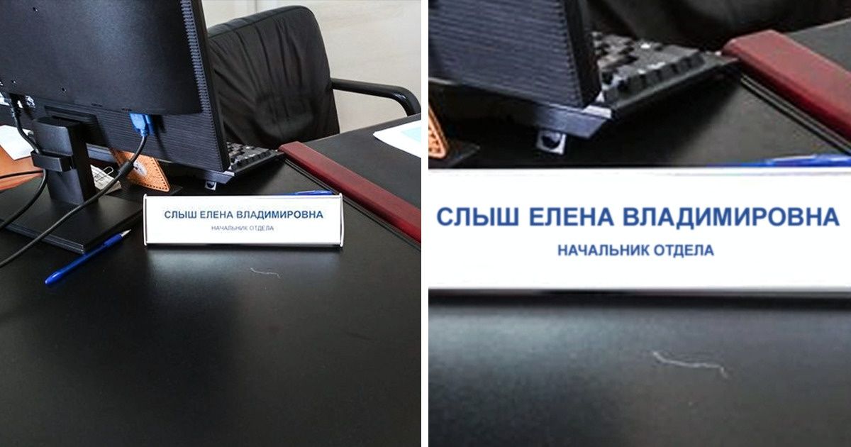 16 человек, которым здорово повезло с фамилией 16 человек, которым здорово повезло с фамилией