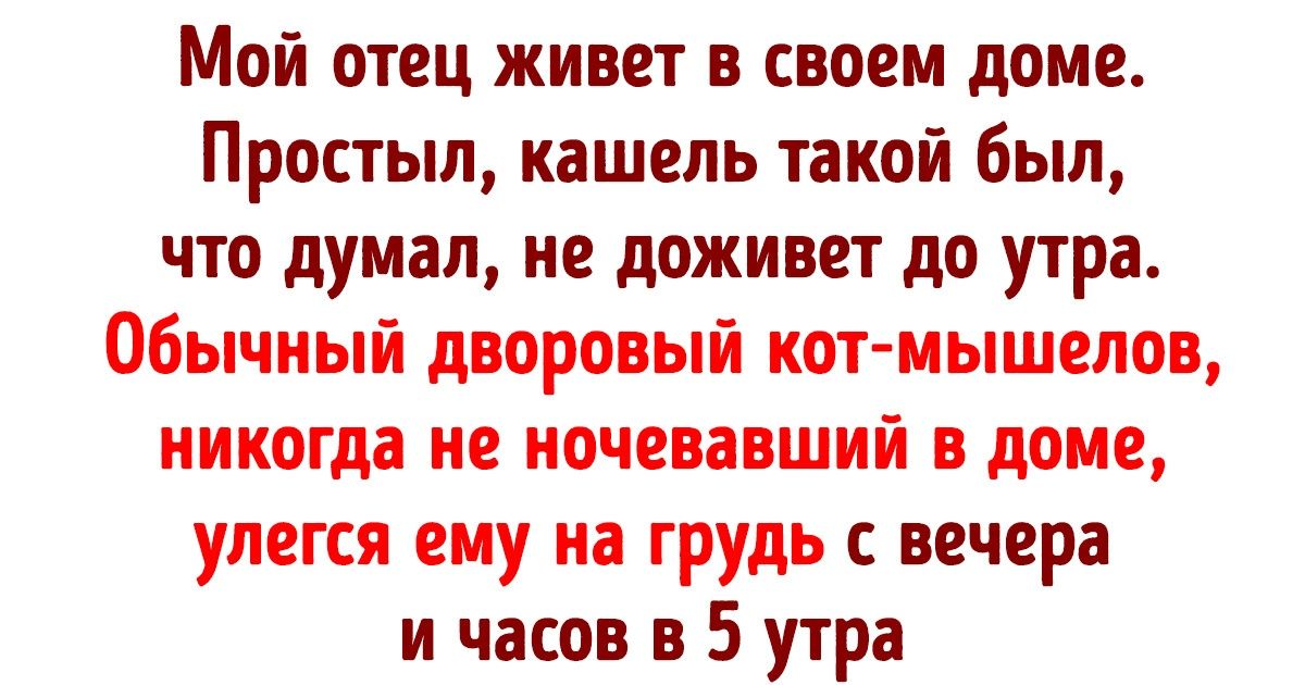 20+ историй о том, что животные могут очень сильно любить. Мы их явно недооцениваем 20+ историй о том, что животные могут очень сильно любить. Мы их явно недооцениваем