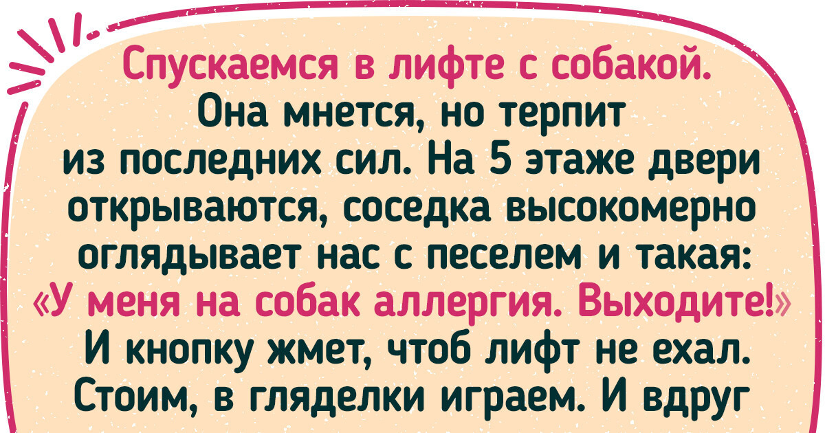 Привет, а я ваш новый сосед, в гости вот пришел | Пикабу