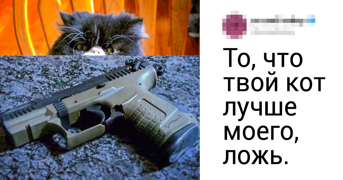 Чей кот. Самый крутой Убер кот
