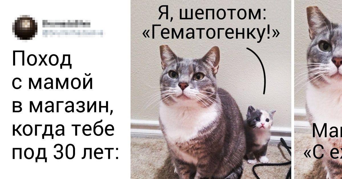 20+ доказательств того, что животные похожи на людей гораздо сильнее, чем мы думали 20+ доказательств того, что животные похожи на людей гораздо сильнее, чем мы думали