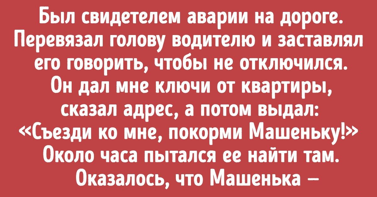 19 трогательных историй о животных, которые бьют прямиком в сердечко 19 трогательных историй о животных, которые бьют прямиком в сердечко