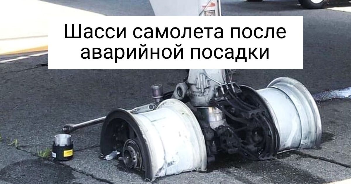 13 снимков, которые оставляют зрителей в состоянии легкого ступора 13 снимков, которые оставляют зрителей в состоянии легкого ступора