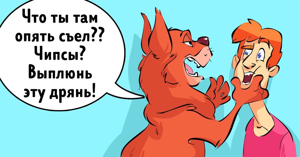 Один день из жизни людей и животных, если они вдруг поменяются местами
