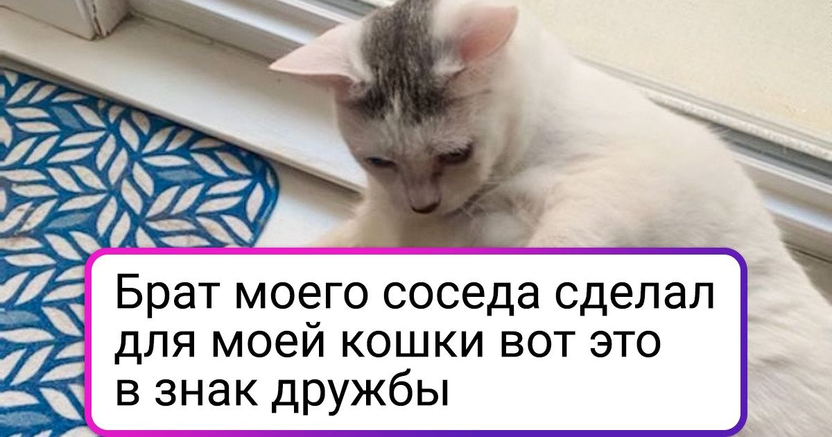 17 бунтарей, от которых не стоит ждать обычных поступков 17 бунтарей, от которых не стоит ждать обычных поступков