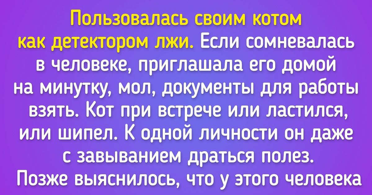 16 историй про питомцев, которые отличились интеллектом и сообразительностью 16 историй про питомцев, которые отличились интеллектом и сообразительностью