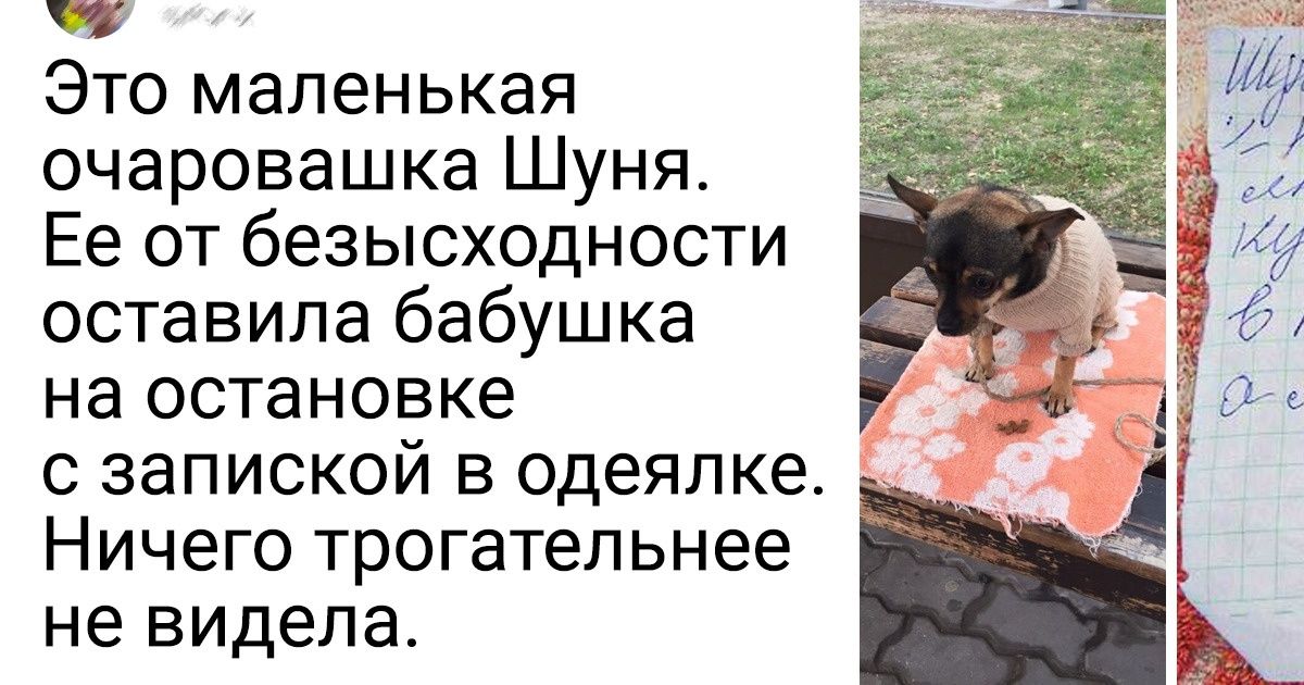 15+ твитов, в которых столько тепла, что ими можно отапливать целые кварталы 15+ твитов, в которых столько тепла, что ими можно отапливать целые кварталы