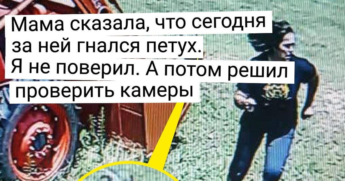 16 человек, которые умиляются своим родителям, что бы те ни отчебучили 16 человек, которые умиляются своим родителям, что бы те ни отчебучили