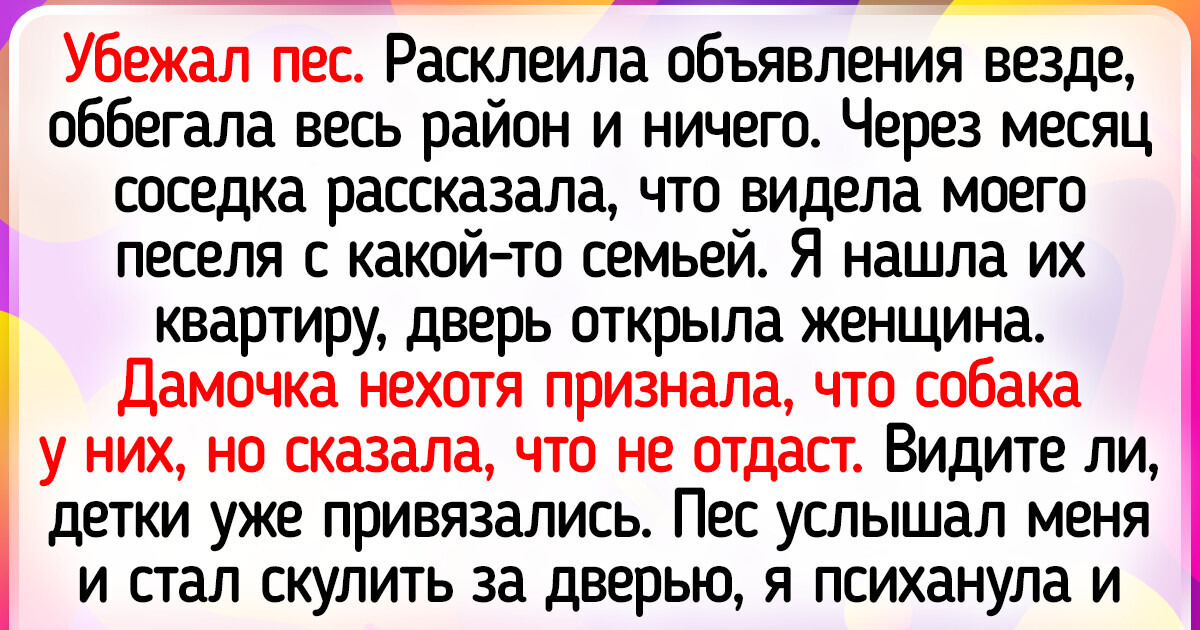 19 хвостиков, которые подкинули своим хозяевам щепотку хлопот 19 хвостиков, которые подкинули своим хозяевам щепотку хлопот