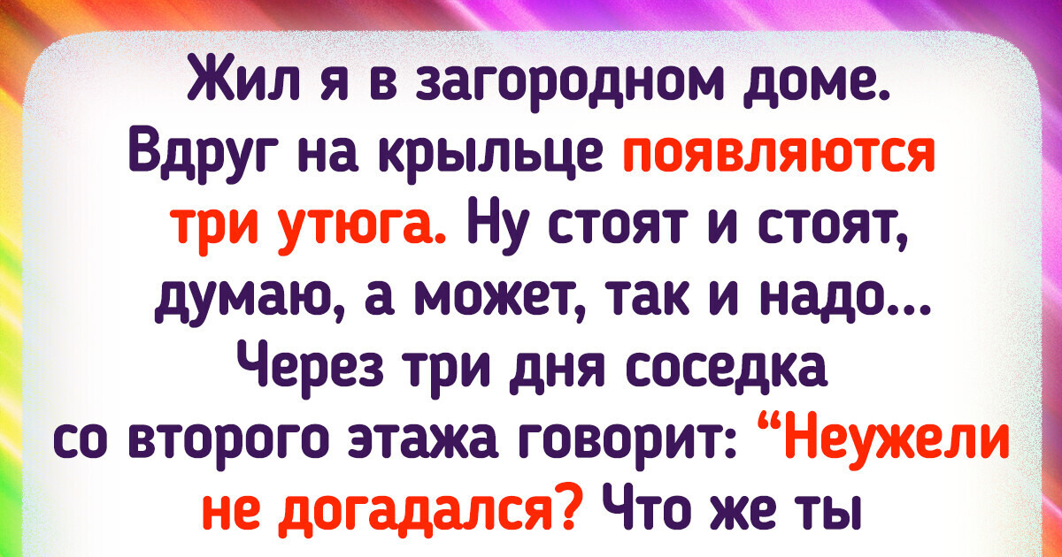 18 соседей, с которыми не заскучаешь, даже если захочется 18 соседей, с которыми не заскучаешь, даже если захочется