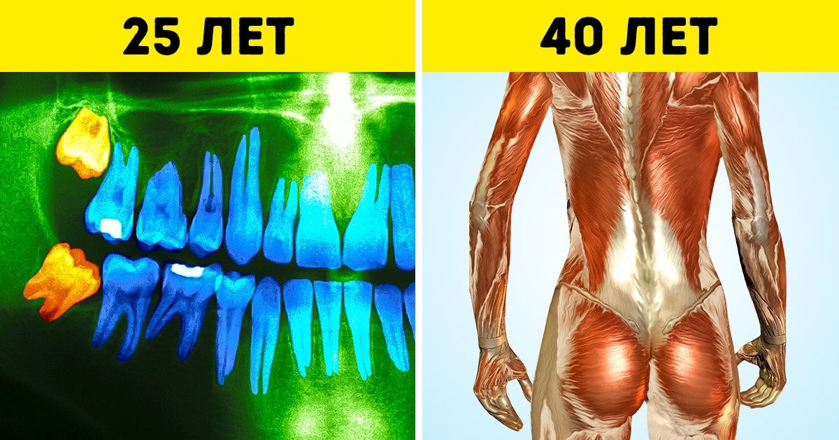 26 неизбежных изменений в организме, которые мы можем наблюдать каждые 10 лет 26 неизбежных изменений в организме, которые мы можем наблюдать каждые 10 лет