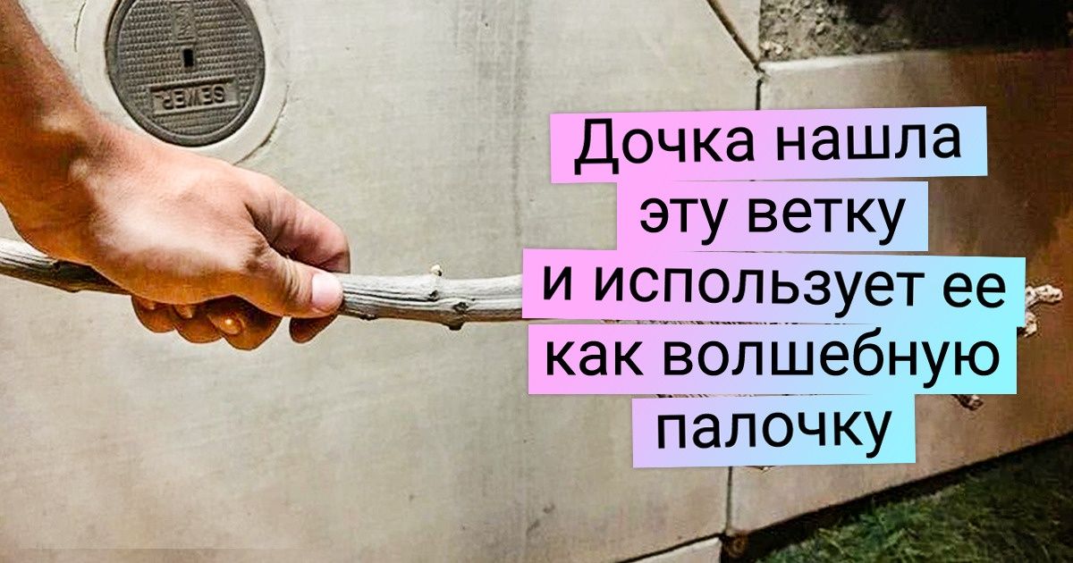 20+ неожиданных находок, которыми не зазорно и перед друзьями похвастать 20+ неожиданных находок, которыми не зазорно и перед друзьями похвастать