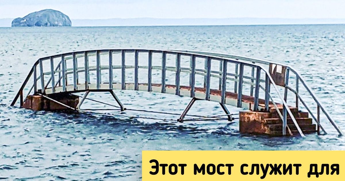 17 человек сфотографировали то, чем никак нельзя не похвастаться перед всем интернетом