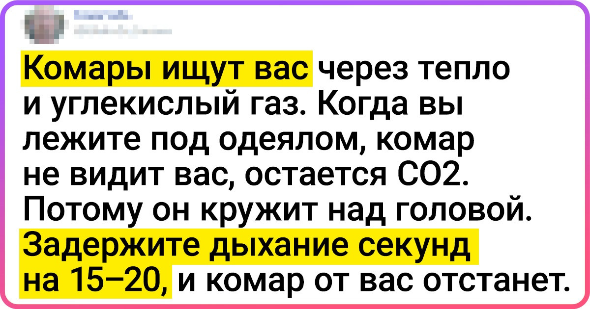 16 фактов про обыденную жизнь, прочитав которые вы воскликнете: «Да ладно?» 16 фактов про обыденную жизнь, прочитав которые вы воскликнете: «Да ладно?»