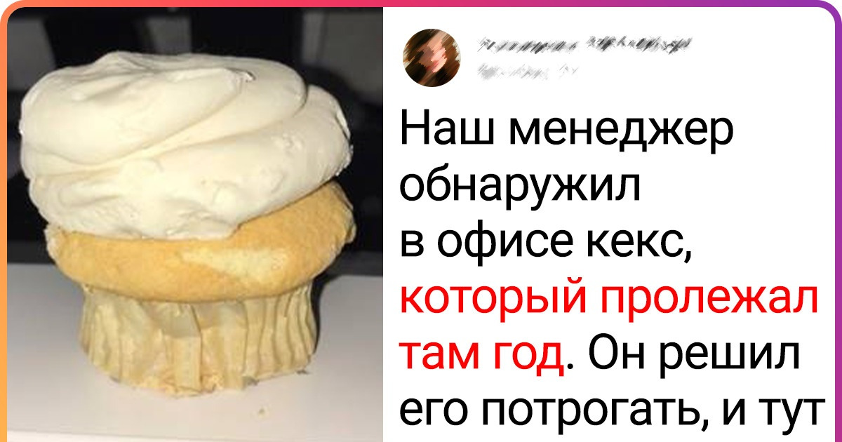20 фото, которые могли бы озадачить даже сценаристов Discovery 20 фото, которые могли бы озадачить даже сценаристов Discovery