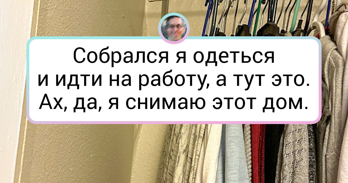 19 человек, чей день пошел немного не по плану 19 человек, чей день пошел немного не по плану