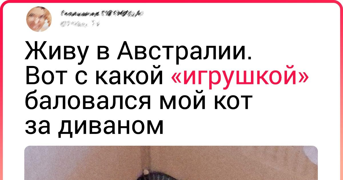 20+ человек, которые просто хотели красиво отдохнуть, а не вот это все 20+ человек, которые просто хотели красиво отдохнуть, а не вот это все