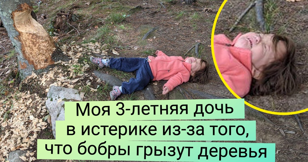 16 маленьких непосед, которых хлебом не корми — дай победокурить 16 маленьких непосед, которых хлебом не корми — дай победокурить