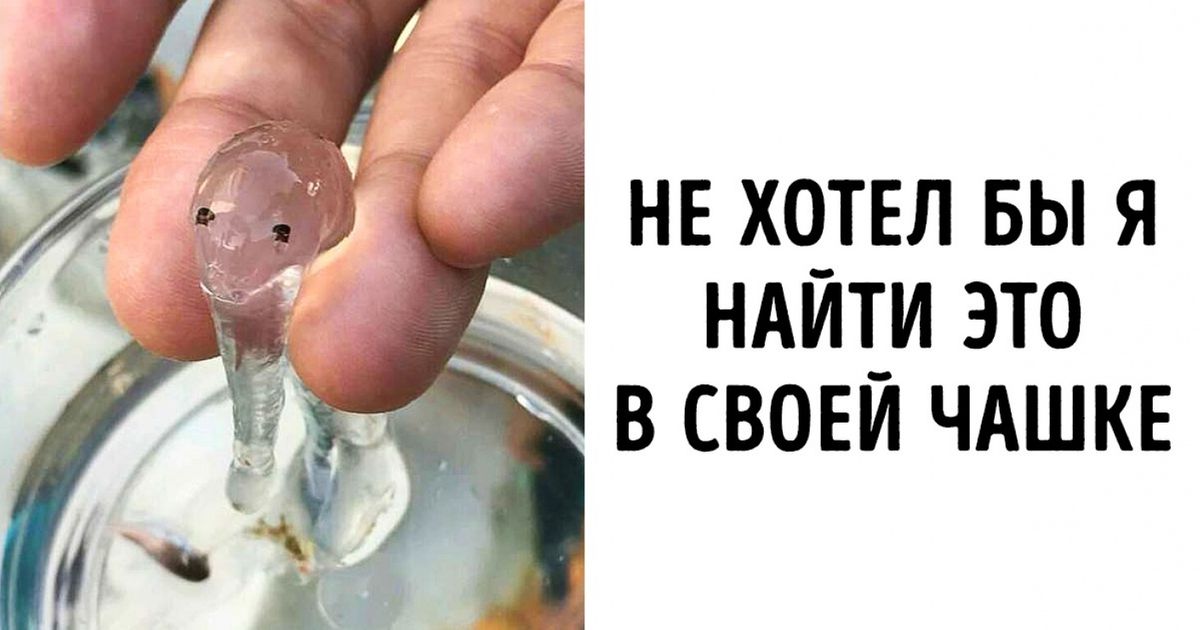 15 творений природы, которые она явно готовила для другой планеты 15 творений природы, которые она явно готовила для другой планеты
