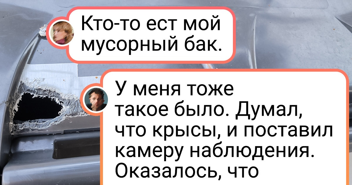 17 загадочных фотографий, которые испытают вашу нервную систему на прочность