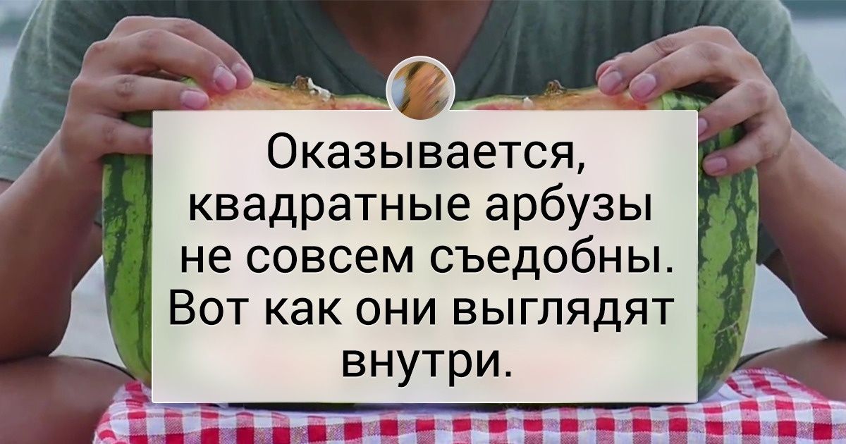 27 фотографий из Японии, которые доказывают, что эта страна — какой-то отдельный мир и космос 27 фотографий из Японии, которые доказывают, что эта страна — какой-то отдельный мир и космос