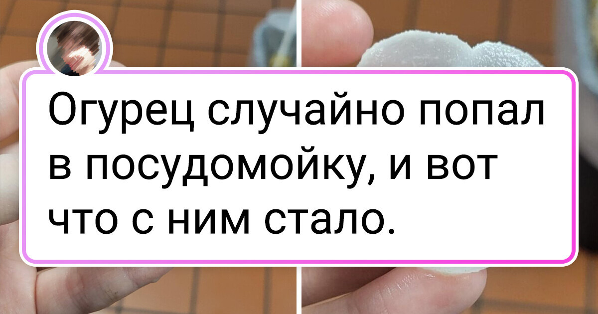 18 фото от тех, у кого до сих пор не отключился режим почемучки 18 фото от тех, у кого до сих пор не отключился режим почемучки