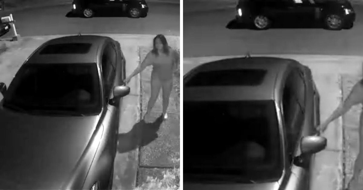 Люди делятся необычными находками, опознать которые может не каждый эрудит