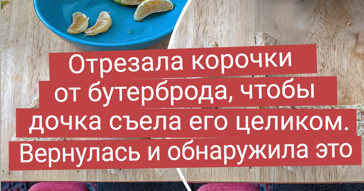 18 человек, которые живут с домашними монстрами 18 человек, которые живут с домашними монстрами