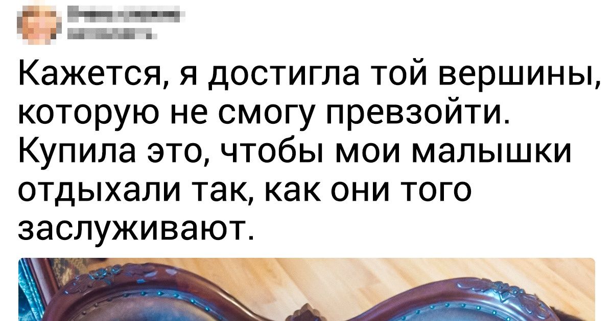 20 ухищрений, на которые идут хозяева котов, чтобы порадовать своего пушистого друга