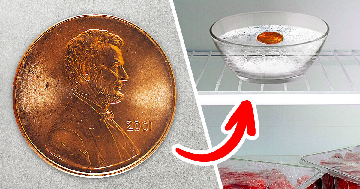 Положите монету в морозильную камеру, прежде чем выходить из дома! Положите монету в морозильную камеру, прежде чем выходить из дома!