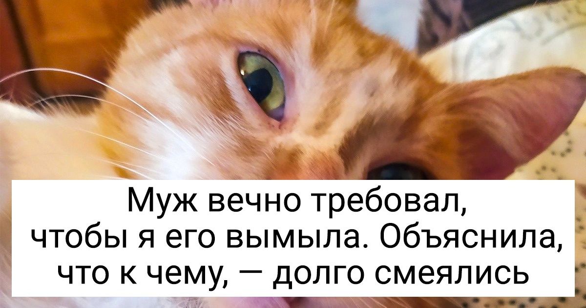 20+ питомцев наших читателей, красота которых открывается только людям с большим сердцем 20+ питомцев наших читателей, красота которых открывается только людям с большим сердцем