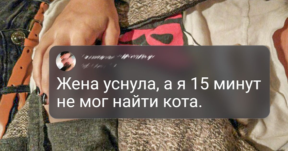 19 питомцев, с которыми не стоит даже пытаться играть в прятки — все равно проиграете